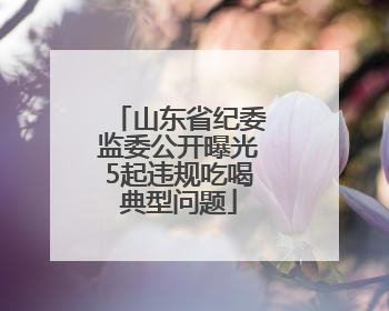 山东省纪委监委公开曝光5起违规吃喝典型问题