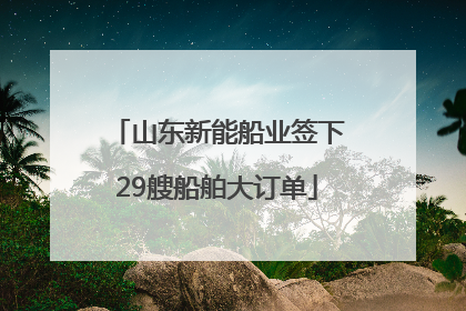 山东新能船业签下29艘船舶大订单
