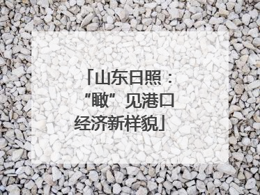 山东日照：“瞰”见港口经济新样貌