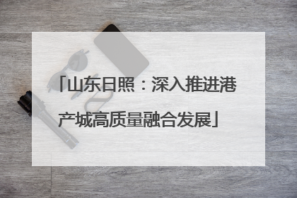 山东日照：深入推进港产城高质量融合发展