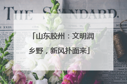 山东胶州：文明润乡野，新风扑面来