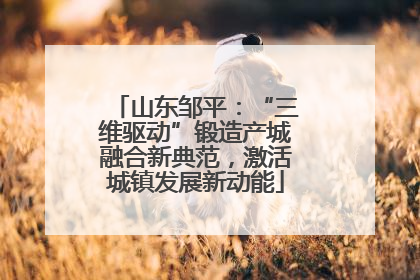 山东邹平：“三维驱动”锻造产城融合新典范，激活城镇发展新动能