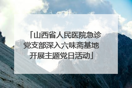 山西省人民医院急诊党支部深入六味斋基地开展主题党日活动