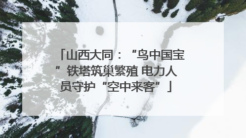 山西大同：“鸟中国宝”铁塔筑巢繁殖 电力人员守护“空中来客”