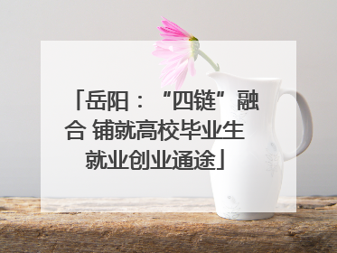 岳阳：“四链”融合 铺就高校毕业生就业创业通途