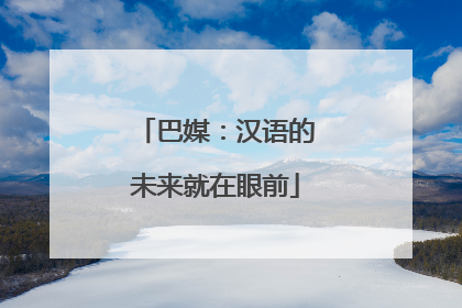 巴媒：汉语的未来就在眼前