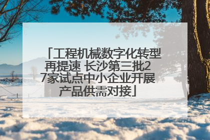 工程机械数字化转型再提速 长沙第三批27家试点中小企业开展产品供需对接