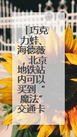 巧克力蛙、海德薇，北京地铁站内可以买到“魔法”交通卡了