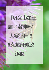 巩义市第三届“洛神杯”大赛举行 36支龙舟劈波逐浪