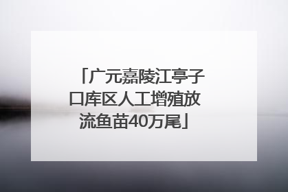 广元嘉陵江亭子口库区人工增殖放流鱼苗40万尾