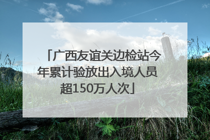 广西友谊关边检站今年累计验放出入境人员超150万人次