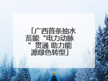 广西首条抽水蓄能“电力动脉”贯通 助力能源绿色转型