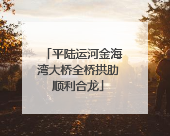 平陆运河金海湾大桥全桥拱肋顺利合龙