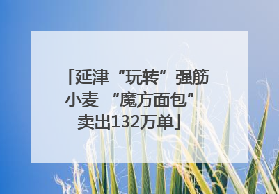 延津“玩转”强筋小麦 “魔方面包”卖出132万单