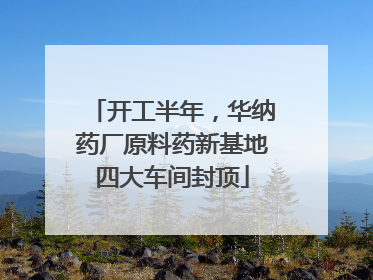 开工半年，华纳药厂原料药新基地四大车间封顶