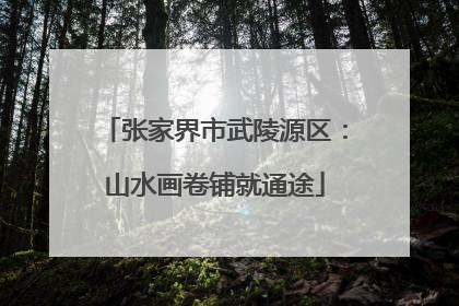 张家界市武陵源区：山水画卷铺就通途