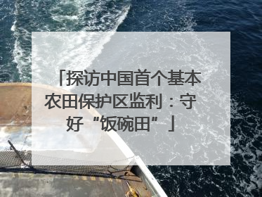 探访中国首个基本农田保护区监利：守好“饭碗田”