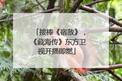 接棒《宿敌》，《藏海传》东方卫视开播即燃