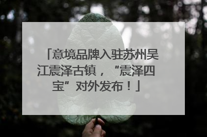 意境品牌入驻苏州吴江震泽古镇，“震泽四宝”对外发布！