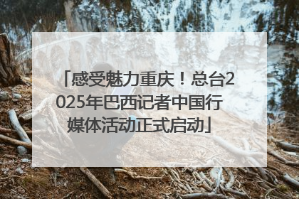 感受魅力重庆！总台2025年巴西记者中国行媒体活动正式启动
