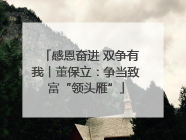 感恩奋进 双争有我丨董保立：争当致富“领头雁”