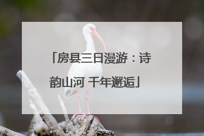 房县三日漫游：诗韵山河 千年邂逅