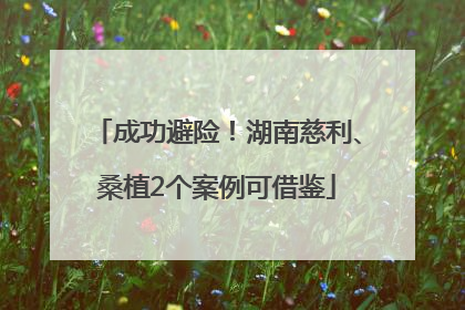 成功避险！湖南慈利、桑植2个案例可借鉴