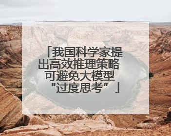 我国科学家提出高效推理策略 可避免大模型“过度思考”