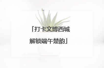 打卡文博西城 解锁端午楚韵
