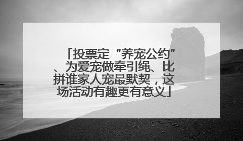 投票定“养宠公约”、为爱宠做牵引绳、比拼谁家人宠最默契，这场活动有趣更有意义