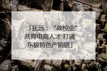 抚远：“政校企”共育电商人才 打通东极特色产销链