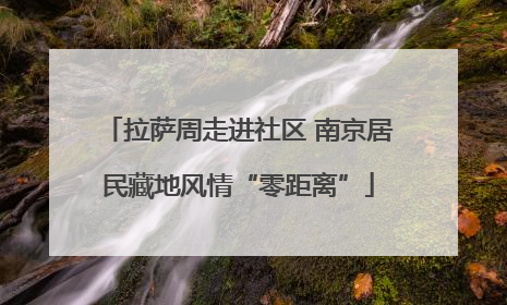 拉萨周走进社区 南京居民藏地风情“零距离”