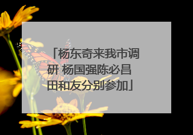 杨东奇来我市调研 杨国强陈必昌田和友分别参加