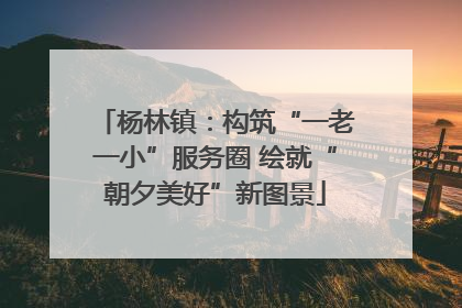 杨林镇：构筑“一老一小”服务圈 绘就“朝夕美好”新图景