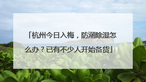 杭州今日入梅，防潮除湿怎么办？已有不少人开始备货