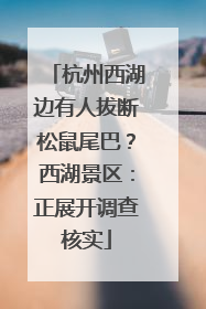 杭州西湖边有人拔断松鼠尾巴？西湖景区：正展开调查核实