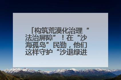 构筑荒漠化治理“法治屏障”！在“沙海孤岛”民勤，他们这样守护“沙退绿进”的生态奇迹