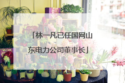 林一凡已任国网山东电力公司董事长