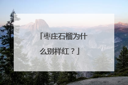 枣庄石榴为什么别样红？