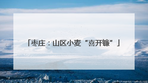 枣庄：山区小麦“喜开镰”