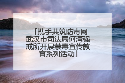 携手共筑防毒网 武汉市司法局何湾强戒所开展禁毒宣传教育系列活动