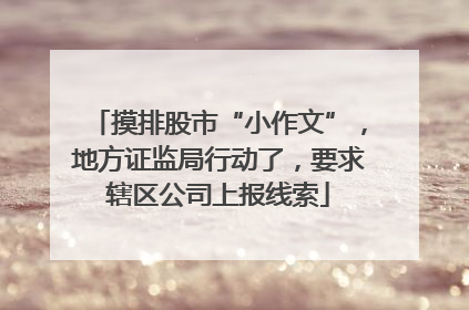 摸排股市“小作文”，地方证监局行动了，要求辖区公司上报线索