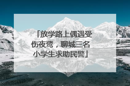 放学路上偶遇受伤夜鹭，聊城三名小学生求助民警