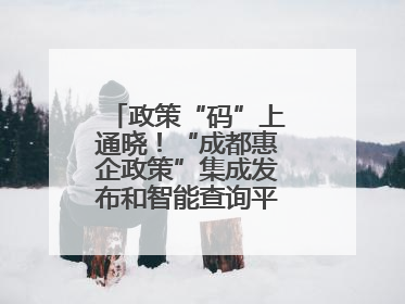 政策“码”上通晓！“成都惠企政策”集成发布和智能查询平台今日上线