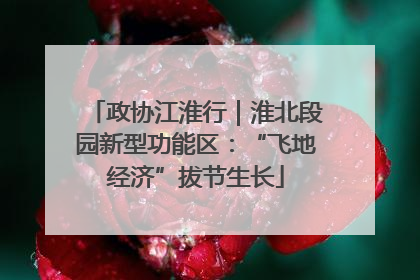 政协江淮行｜淮北段园新型功能区：“飞地经济”拔节生长