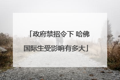 政府禁招令下 哈佛国际生受影响有多大