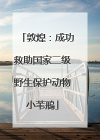 敦煌：成功救助国家二级野生保护动物小苇鳽