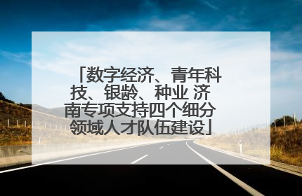 数字经济、青年科技、银龄、种业 济南专项支持四个细分领域人才队伍建设