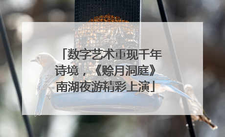 数字艺术重现千年诗境，《赊月洞庭》南湖夜游精彩上演