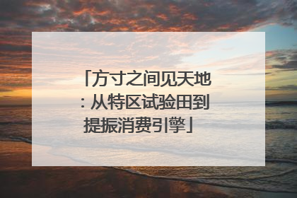 方寸之间见天地：从特区试验田到提振消费引擎